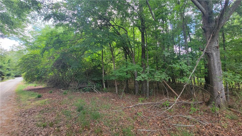 0 Lester Road Athens, GA 30607 - Photo 2 of 16
