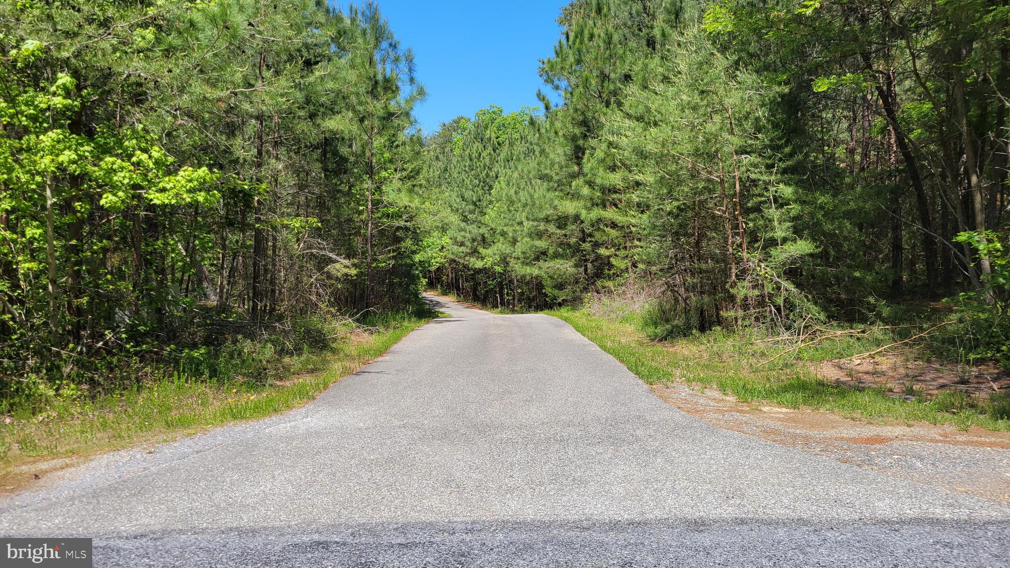 48560 Evergreen Park Road Lexington Park, MD 20653 - Photo 11 of 11 a view of a garden with plants