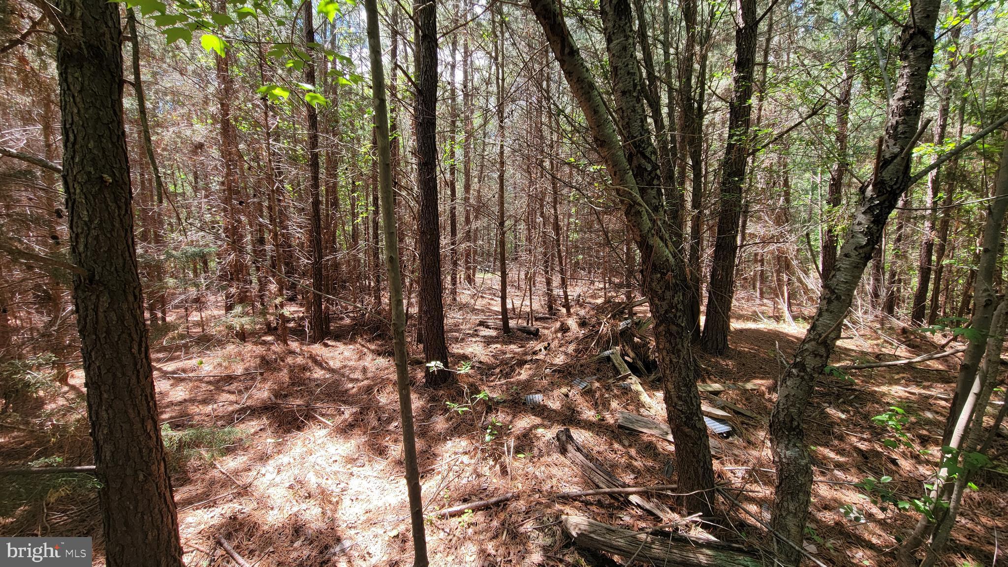 48560 Evergreen Park Road Lexington Park, MD 20653 - Photo 2 of 11