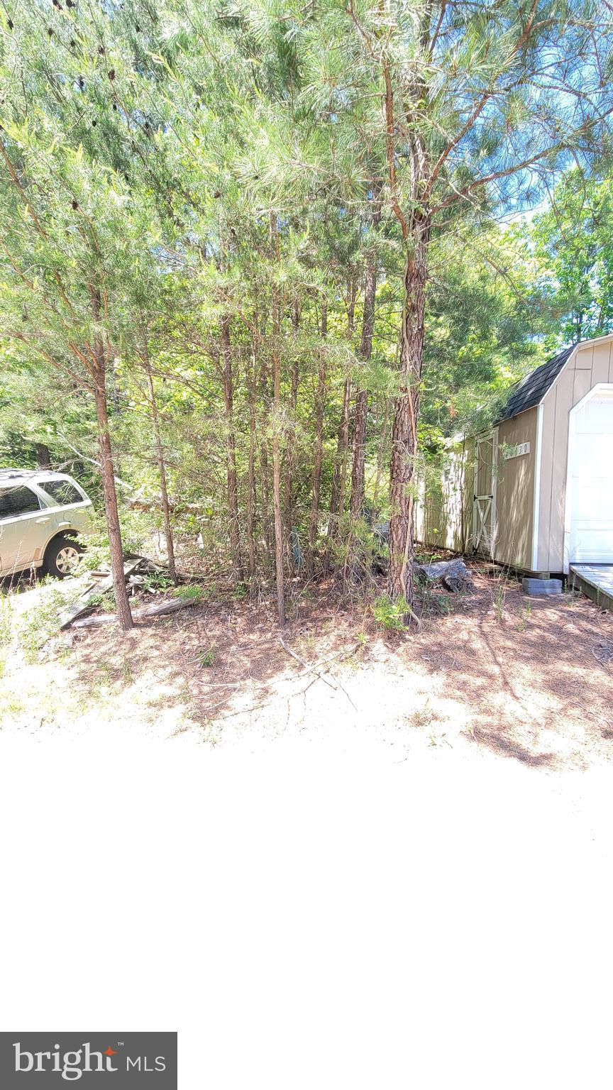 48560 Evergreen Park Road Lexington Park, MD 20653 - Photo 3 of 11 a view of a yard with trees