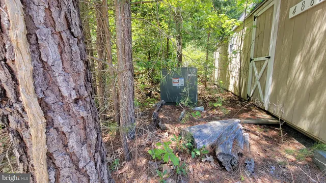 a view of a yard with an trees and plants