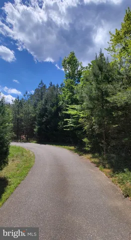 a view of a lake from a garden