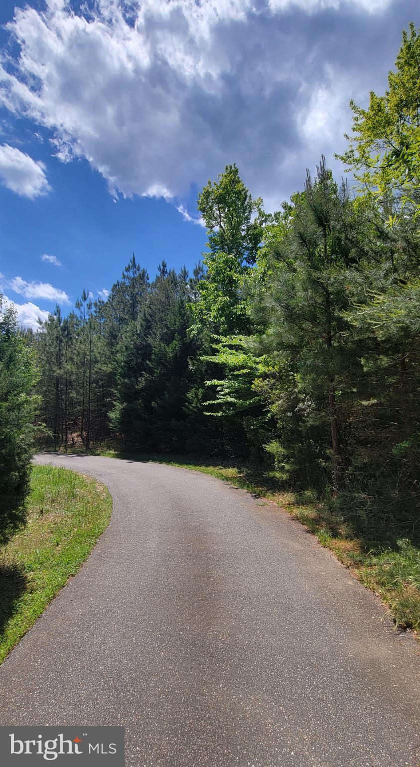 48560 Evergreen Park Road Lexington Park, MD 20653 - Photo 5 of 11 a view of a yard with an trees and plants