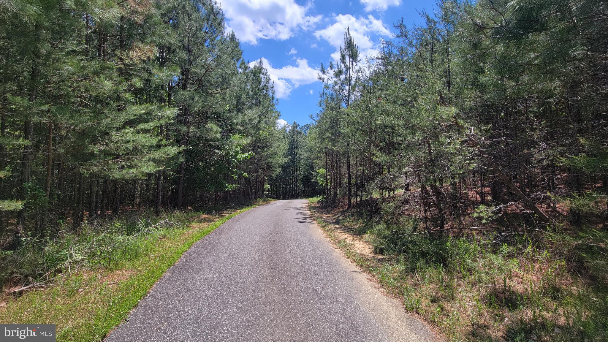 48560 Evergreen Park Road Lexington Park, MD 20653 - Photo 6 of 11 a view of a lake from a garden