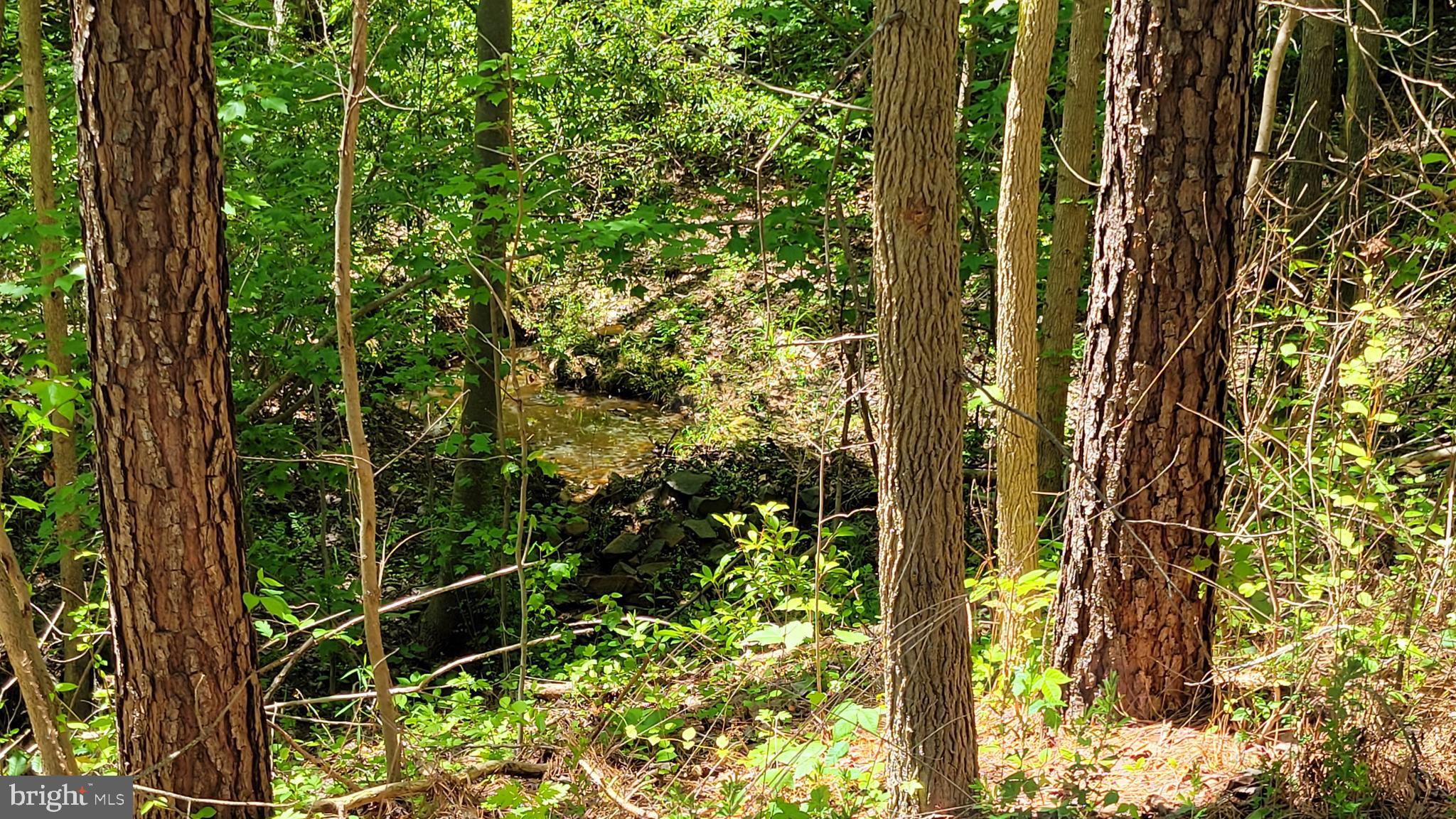 48560 Evergreen Park Road Lexington Park, MD 20653 - Photo 7 of 11 a view of plant