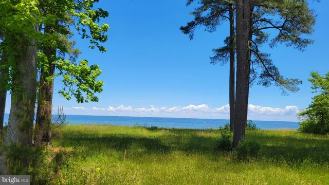 a view of an outdoor space with a lake view