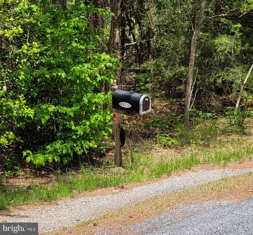 a view of a garden with plants