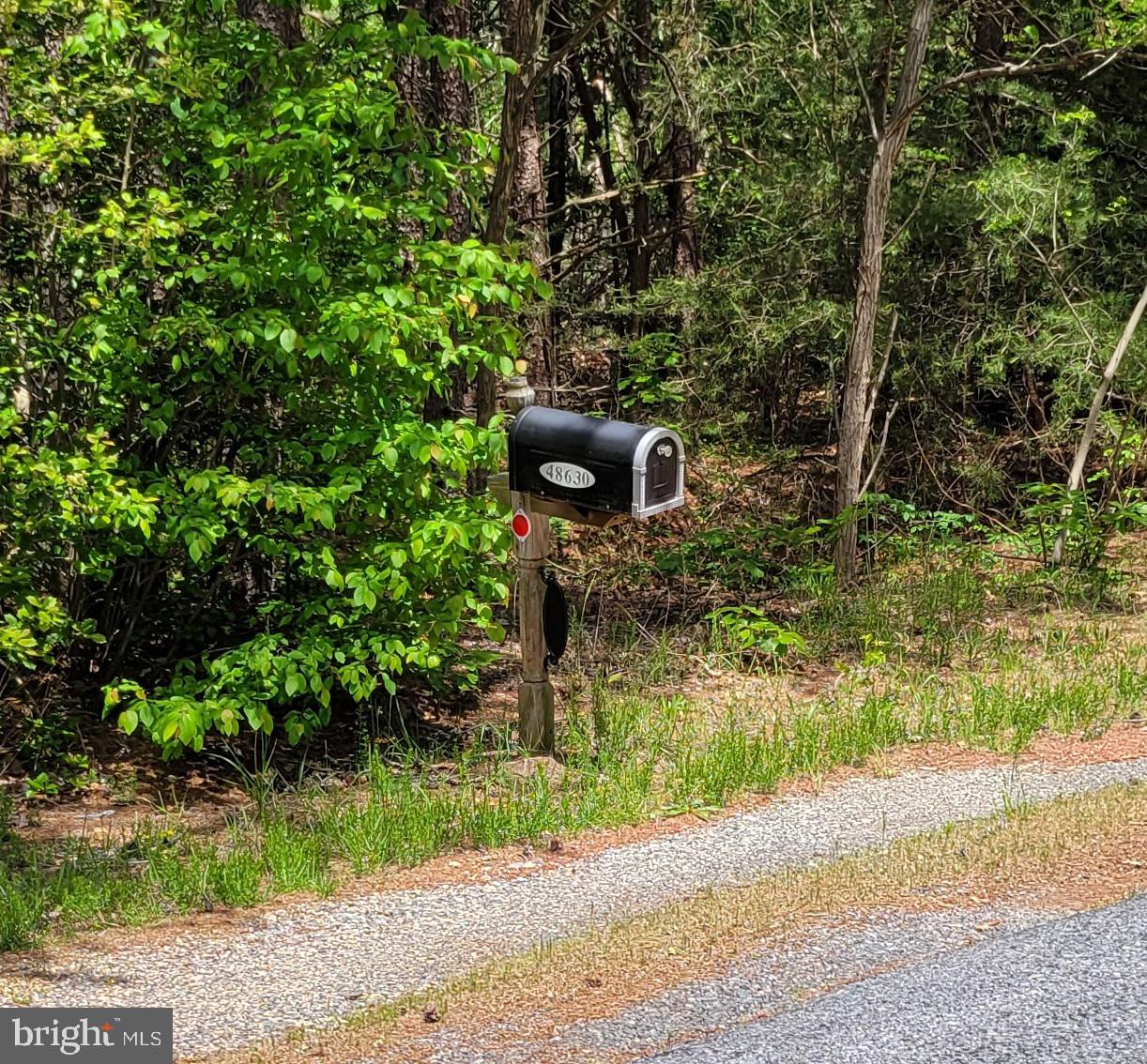 48560 Evergreen Park Road Lexington Park, MD 20653 - Photo 10 of 11 a backyard of a house with lots of green space