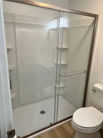 a bathroom with a shower and a toilet