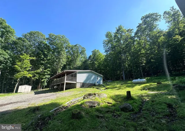 a swimming pool with lots of tress in front of it