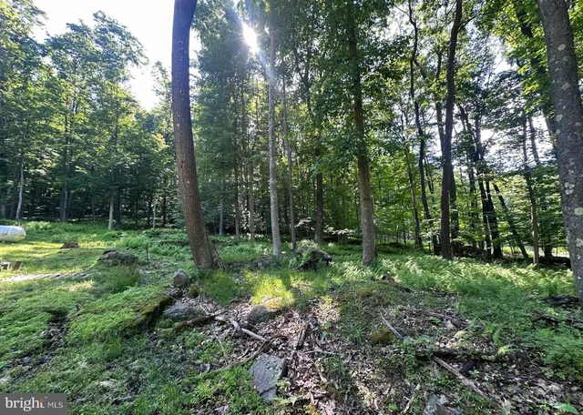 a view of backyard with green space