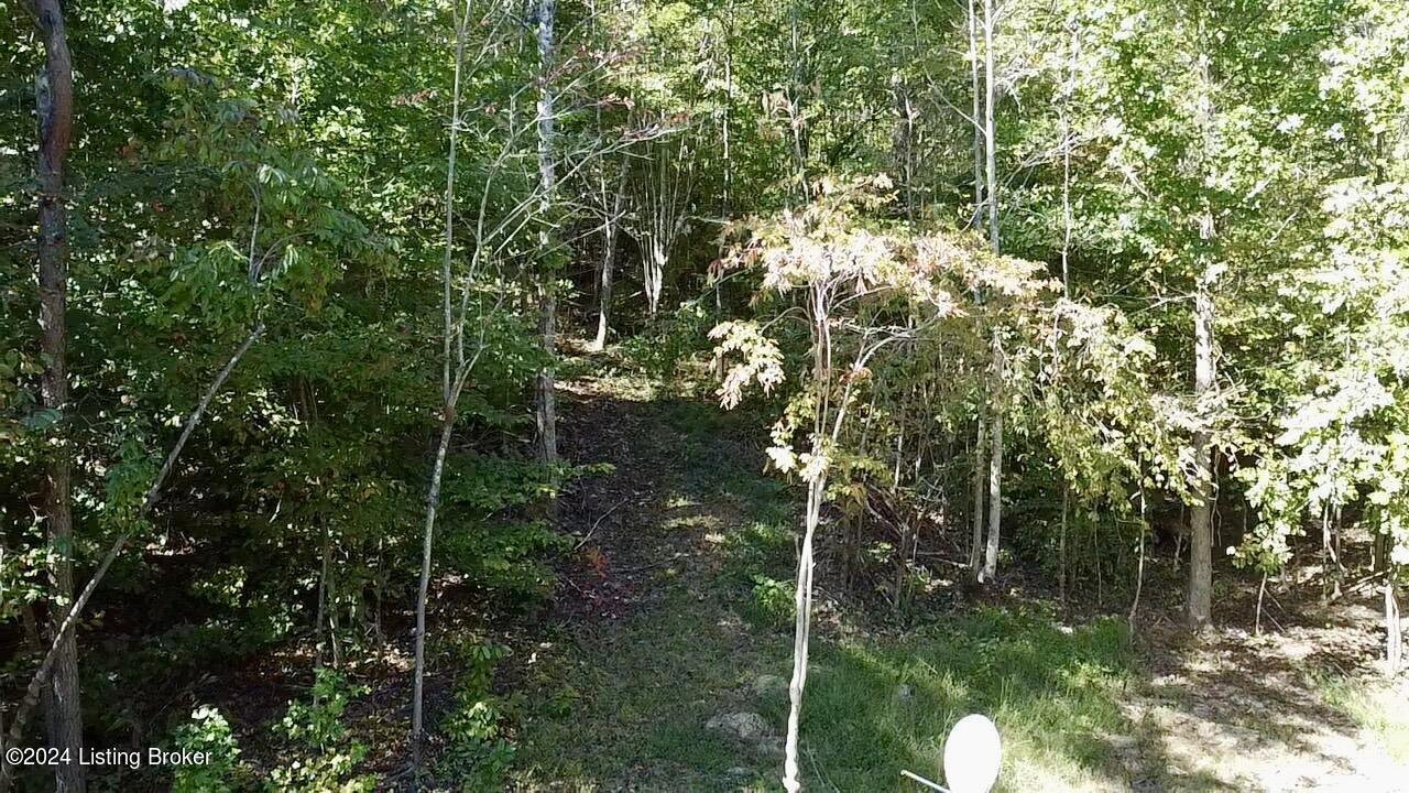 2346 Sulphur Lick Road New Hope, KY 40052 - Photo 12 of 35 2024-10-03-12-26-03-515