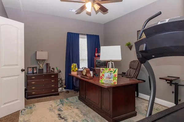 a backyard of a house with lots of green space