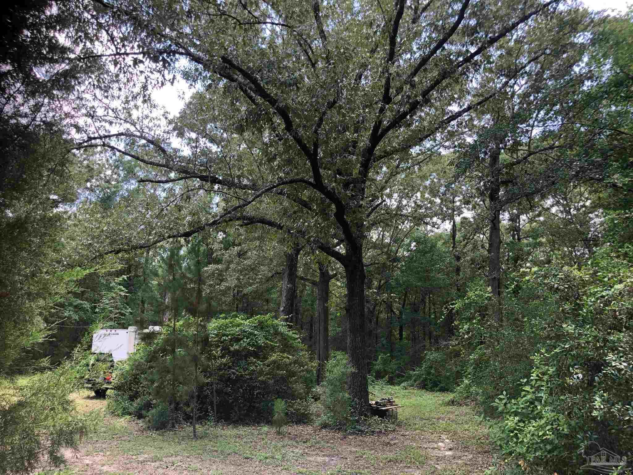 1569 Christmas Tree Road Milton, FL 32570 - Photo 3 of 25 Gallery Image 3