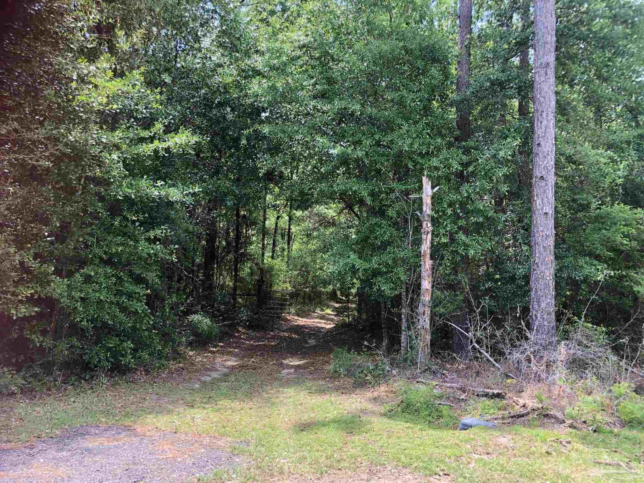 1569 Christmas Tree Road Milton, FL 32570 - Photo 5 of 25 Gallery Image 5