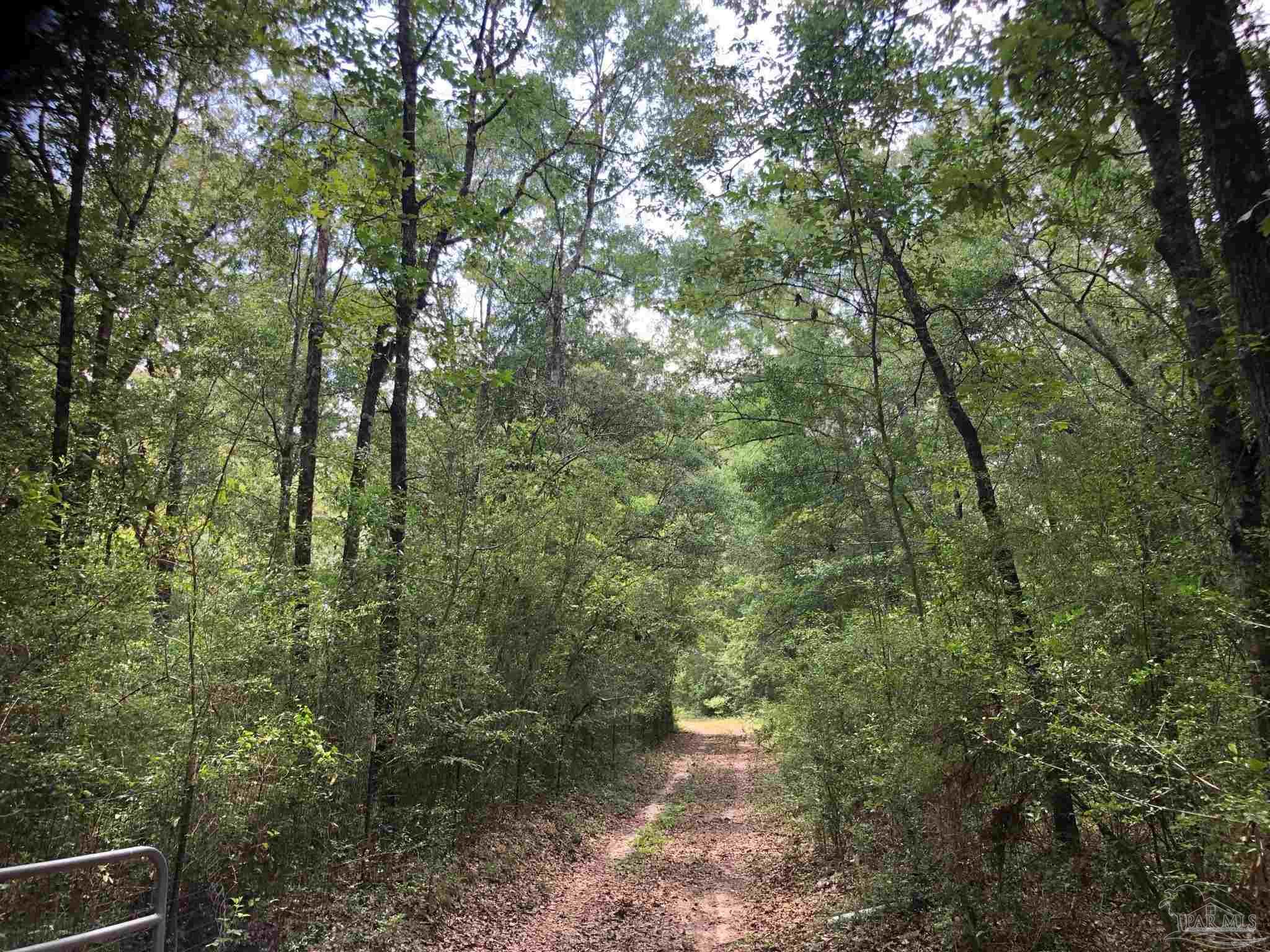 1569 Christmas Tree Road Milton, FL 32570 - Photo 6 of 25 Gallery Image 6
