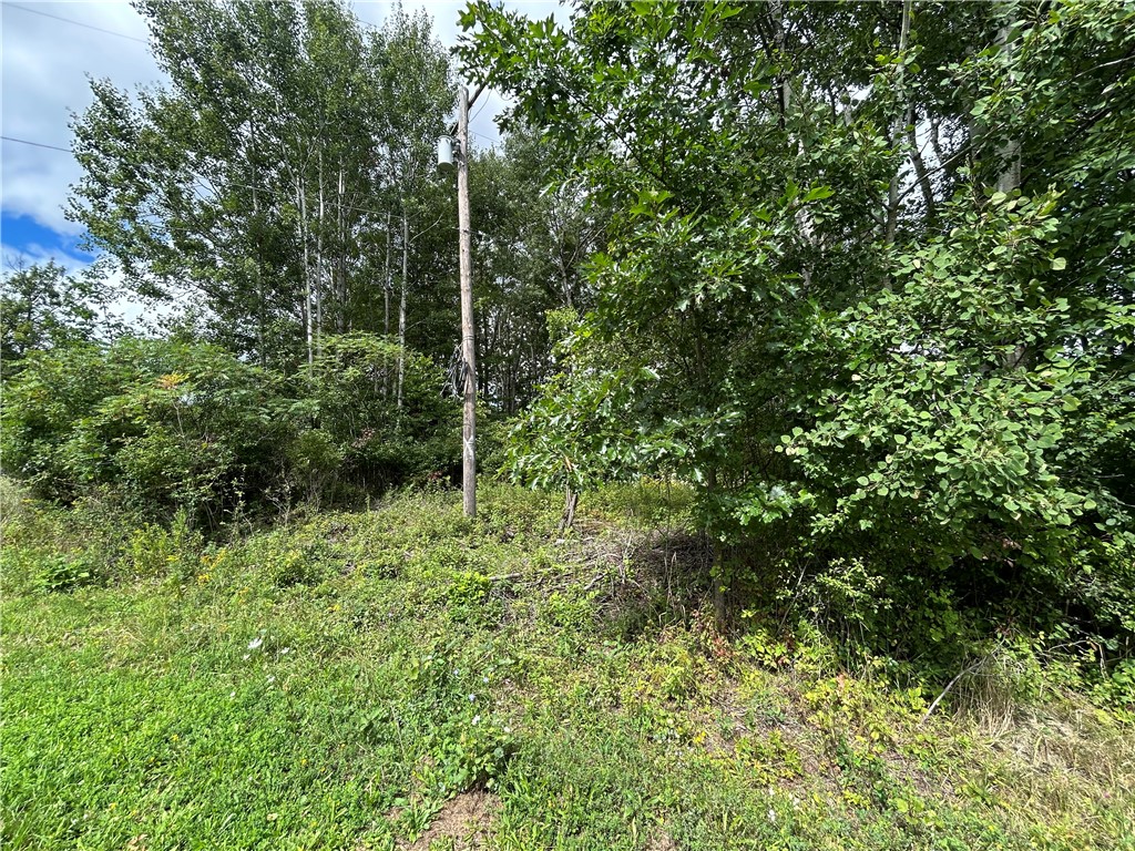 0 Pre Emption Road Watkins Glen, NY 14891 - Photo 4 of 5 Public Power Pole on Site