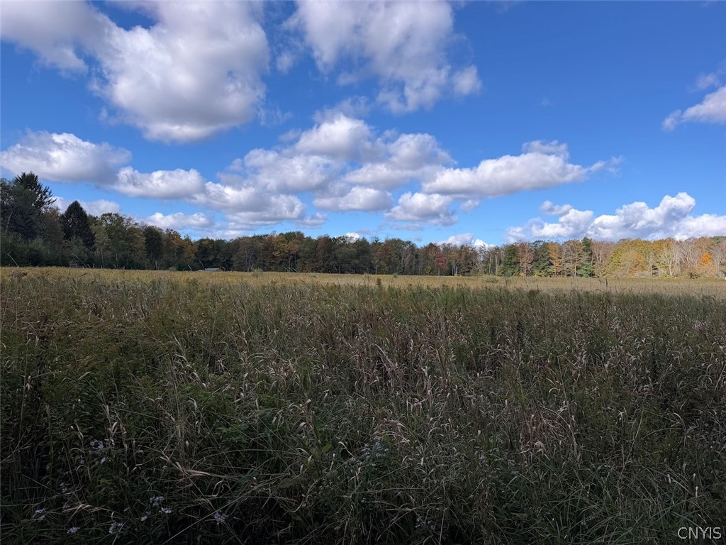 Hooker Hill Road Gowanda, NY 14070 - Photo 29 of 37 Gallery Image 29