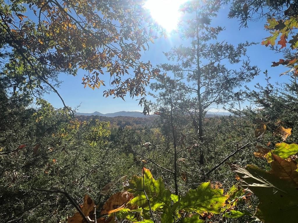 0 Manning Hollow Road Sevierville, TN 37876 - Photo 1 of 14