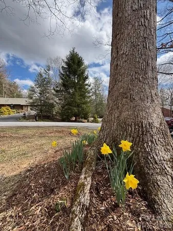 $2,700 | 201 Camellia Way, Hendersonville, NC 28739