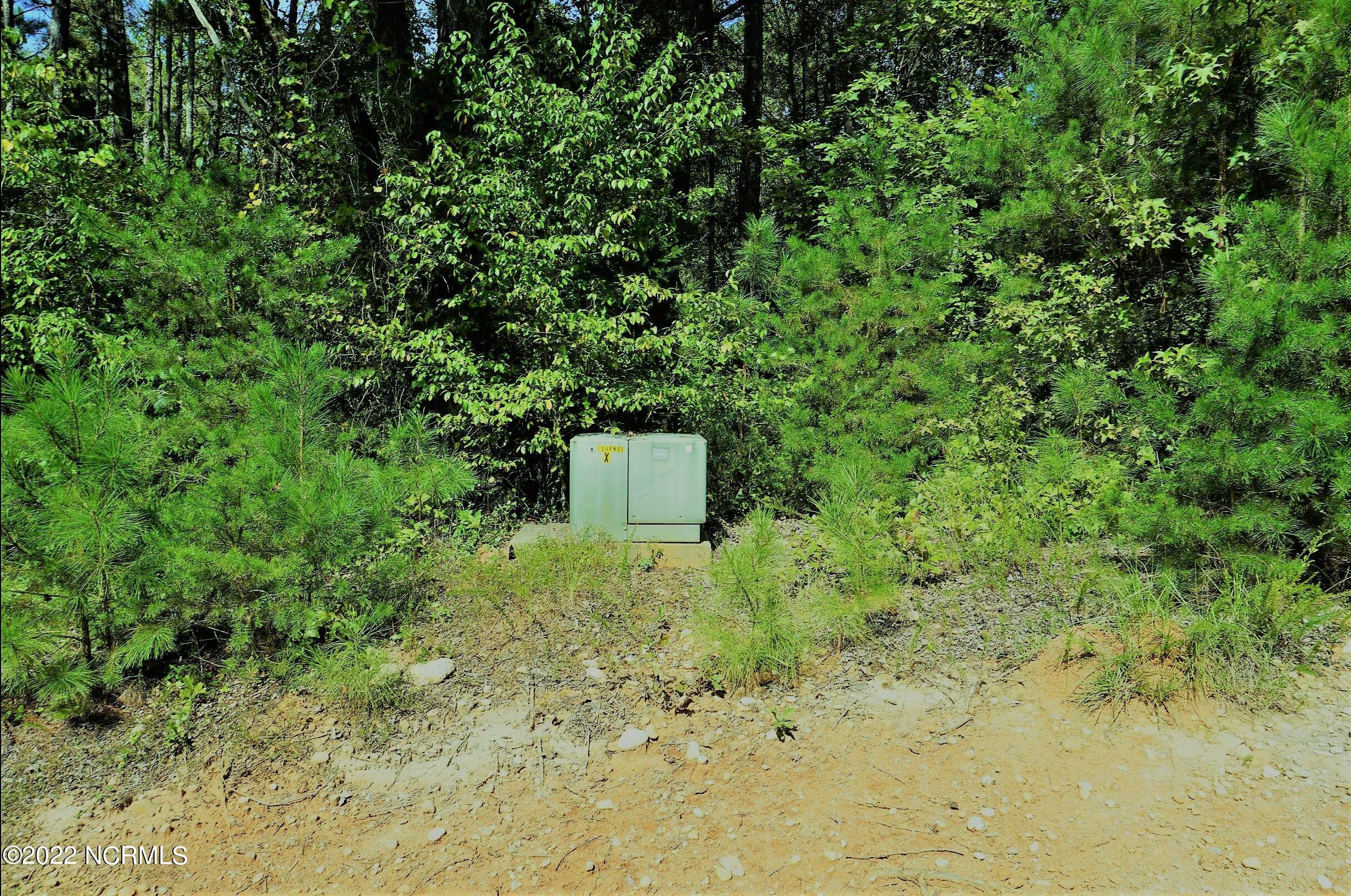 3 Rockingham Nc 28379 Rockingham, NC 28379 - Photo 6 of 6 lot3chalk2