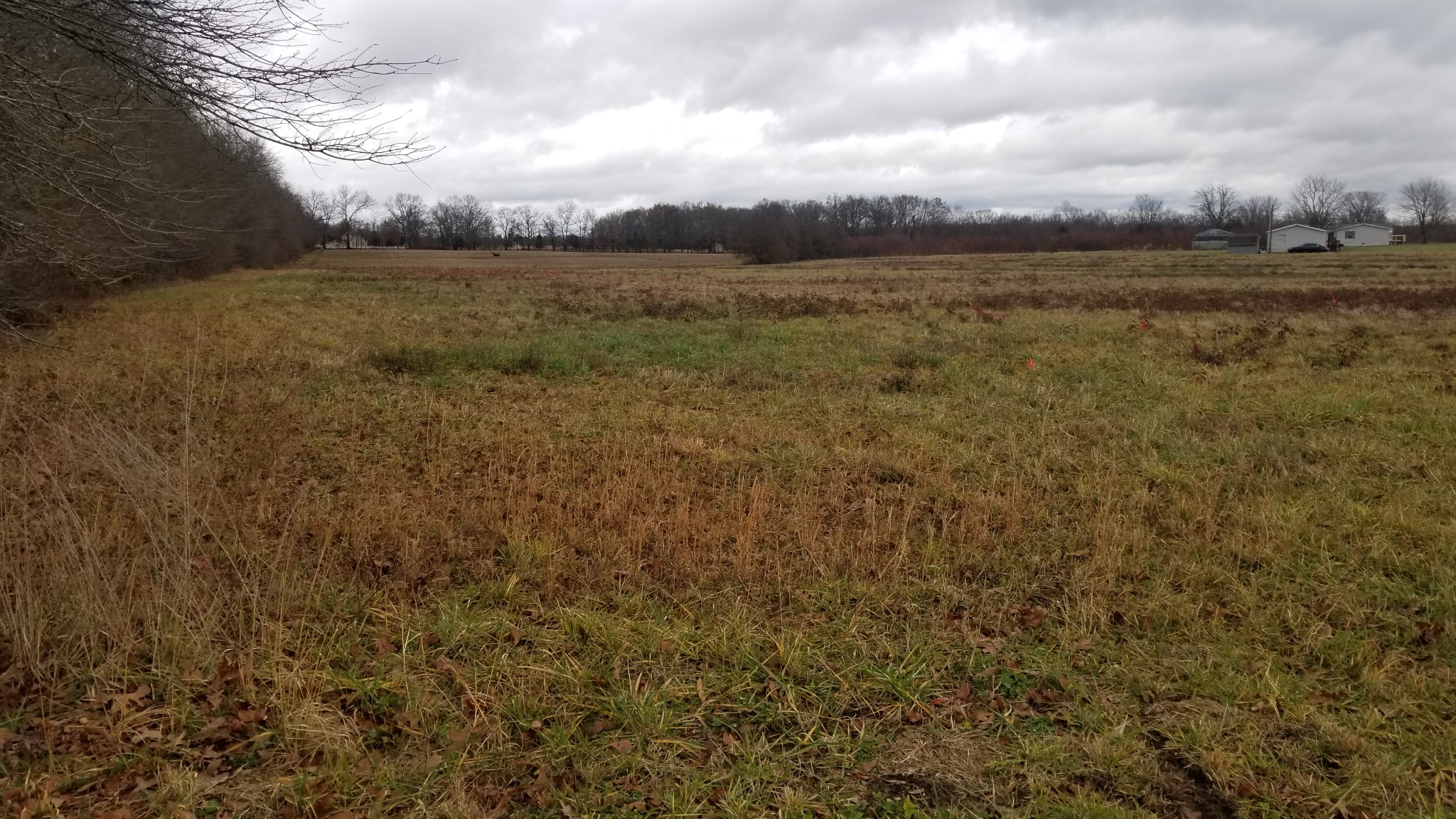 0 Eugene Reed Road Woodbury, TN 37190 - Photo 1 of 11 Gallery Image 1