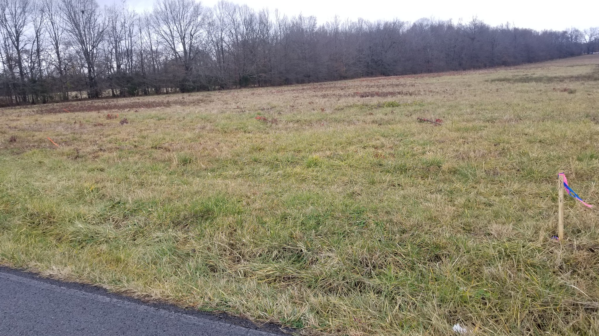 0 Eugene Reed Road Woodbury, TN 37190 - Photo 8 of 11 Gallery Image 8