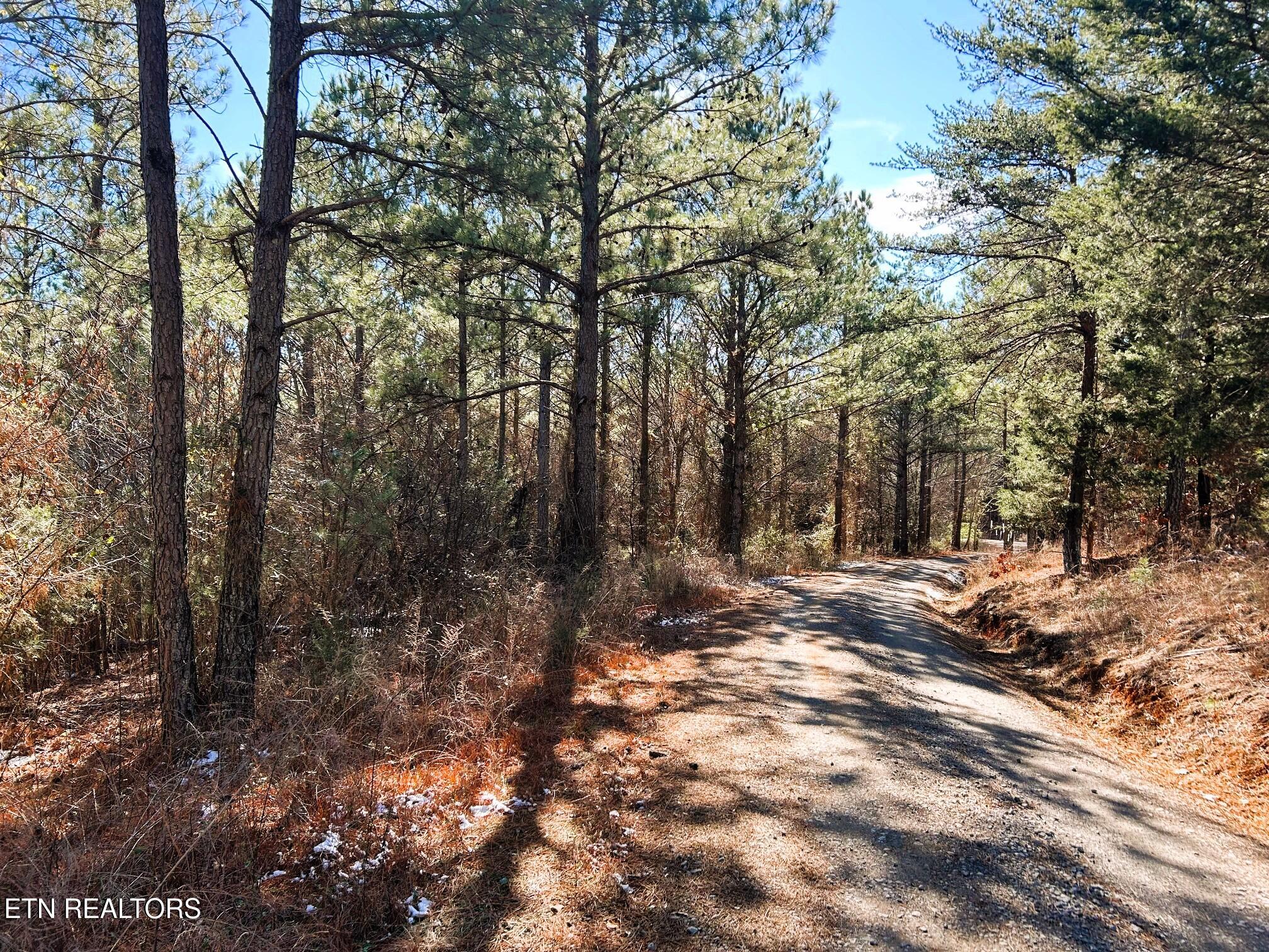 2 A Redman Rdg Lane Decatur, TN 37322 - Photo 1 of 15 Roadfront