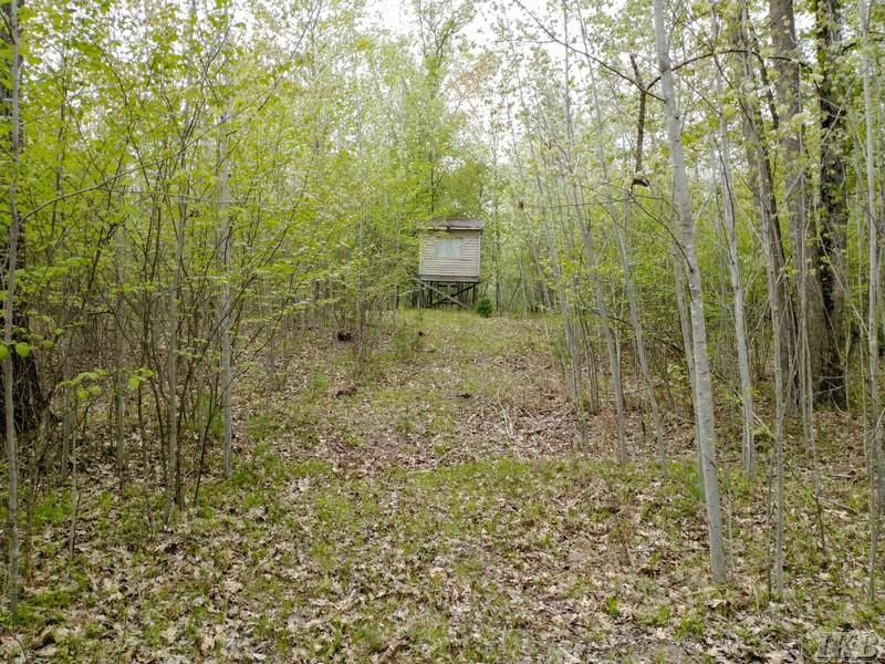 1340 Birch Ridge Road Gladwin, MI 48624 - Photo 23 of 38