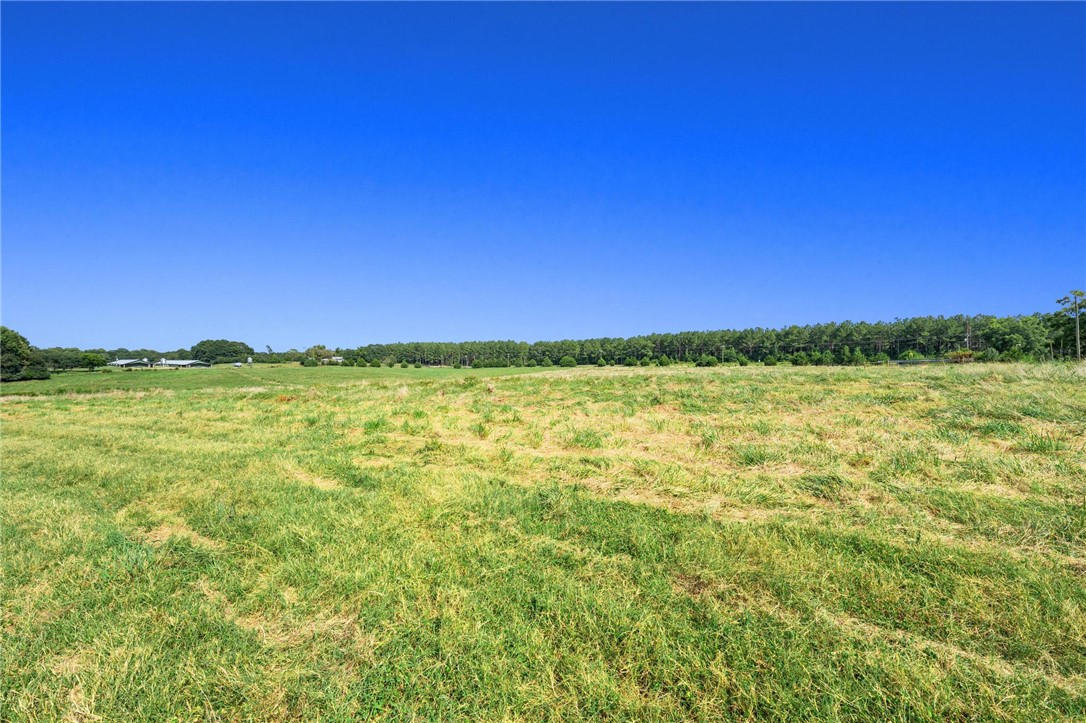 910 Highway 182 Fair Play, SC 29643 - Photo 43 of 50 Rolling green pastures stretch toward a dense tree line under a clear blue sky.