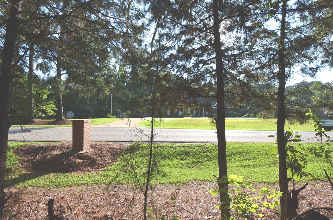 Lot 2 Oak Bowery Road Opelika, AL 36801 - Photo 8 of 10 Gallery Image 8