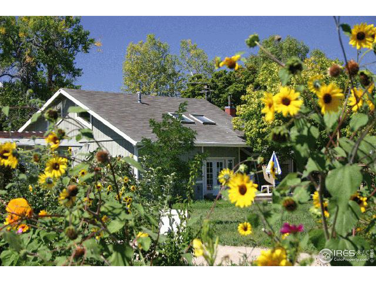 8328 Valmont Road Boulder, CO 80301 - Photo 1 of 9 a view of a flower in a garden