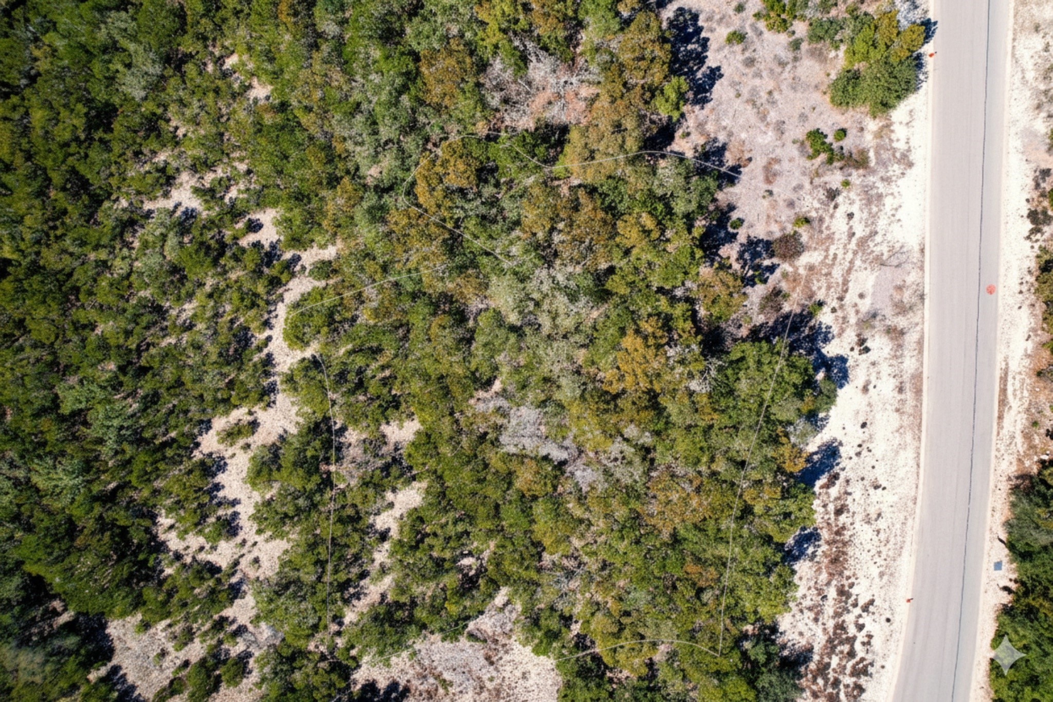 0 Private 1748 Road Mico, TX 78056 - Photo 2 of 10 a view of a tree