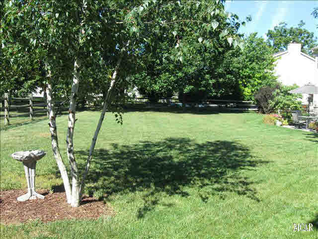 Rear Yard