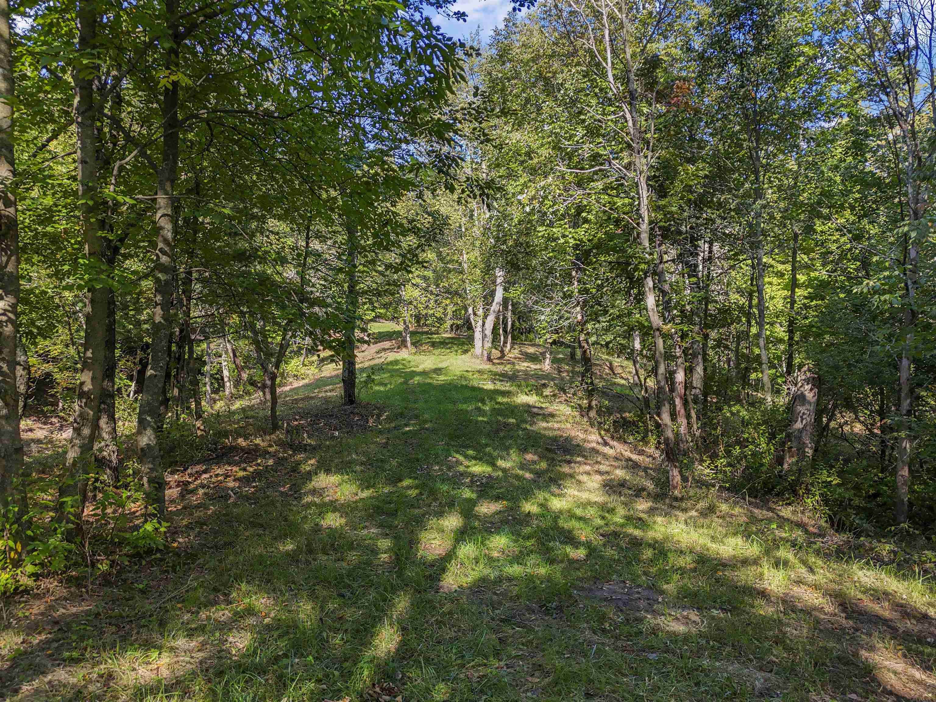 -2 Carlson Road, Unit PARCEL 2 Frankfort, MI 49635 - Photo 6 of 13