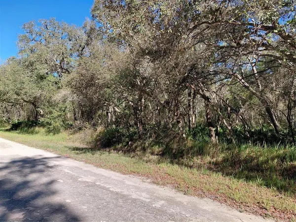$49,000 | 36031 Butternut Drive, Webster, FL 33597
