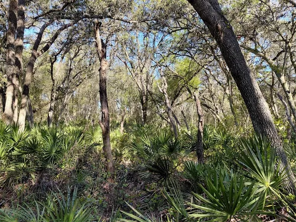 $49,000 | 36031 Butternut Drive, Webster, FL 33597