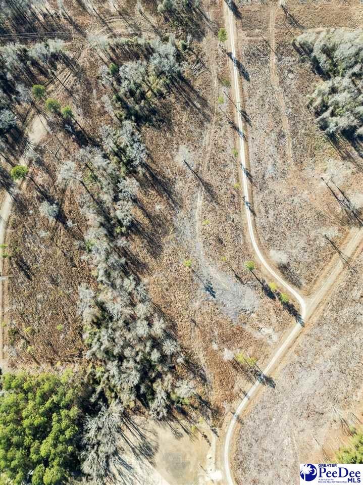 Woodbine Road Cheraw, SC 29520 - Photo 3 of 10 Gallery Image 3