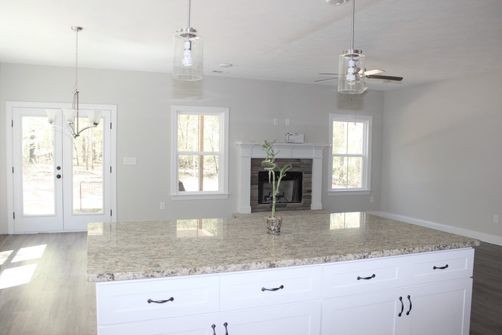 4073 Peach Orchard Road Hephzibah, GA 30815 - Photo 21 of 40 View from Kitchen