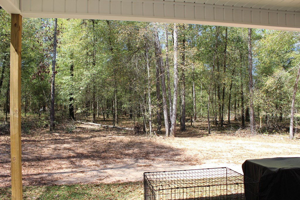 4073 Peach Orchard Road Hephzibah, GA 30815 - Photo 31 of 40 Back Porch