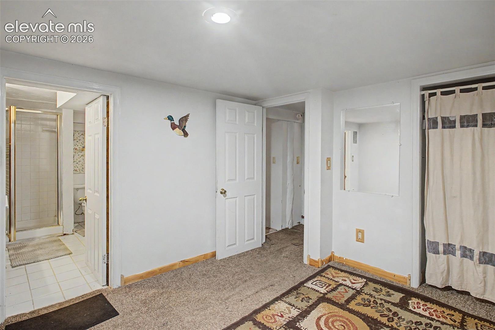 9735 Mountain Road Cascade, CO 80809 - Photo 13 of 18 Basement Suite
