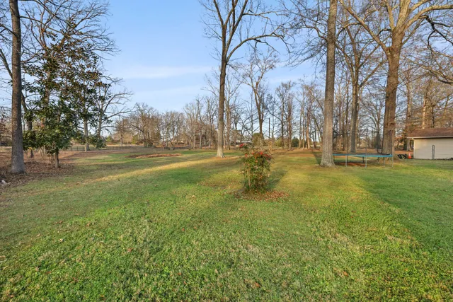 a view of yard with trees