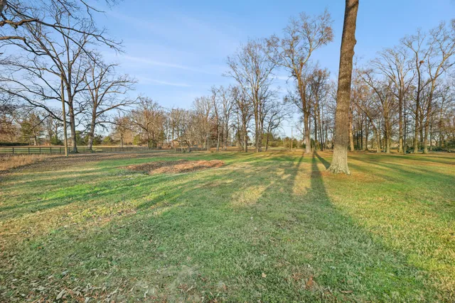 a view of a yard with a tree