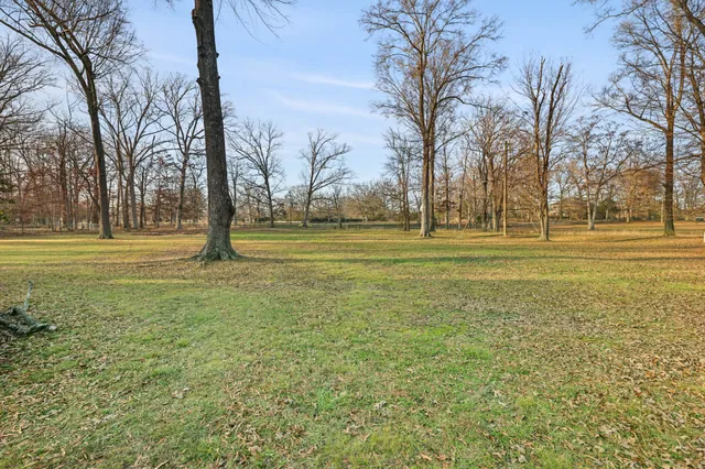 a view of a grassy field with trees