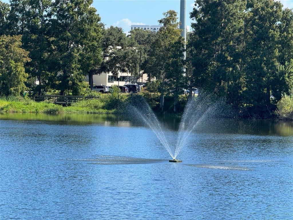 2500 14th Avenue North St. Petersburg, FL 33713 - Photo 24 of 27 a view of yard