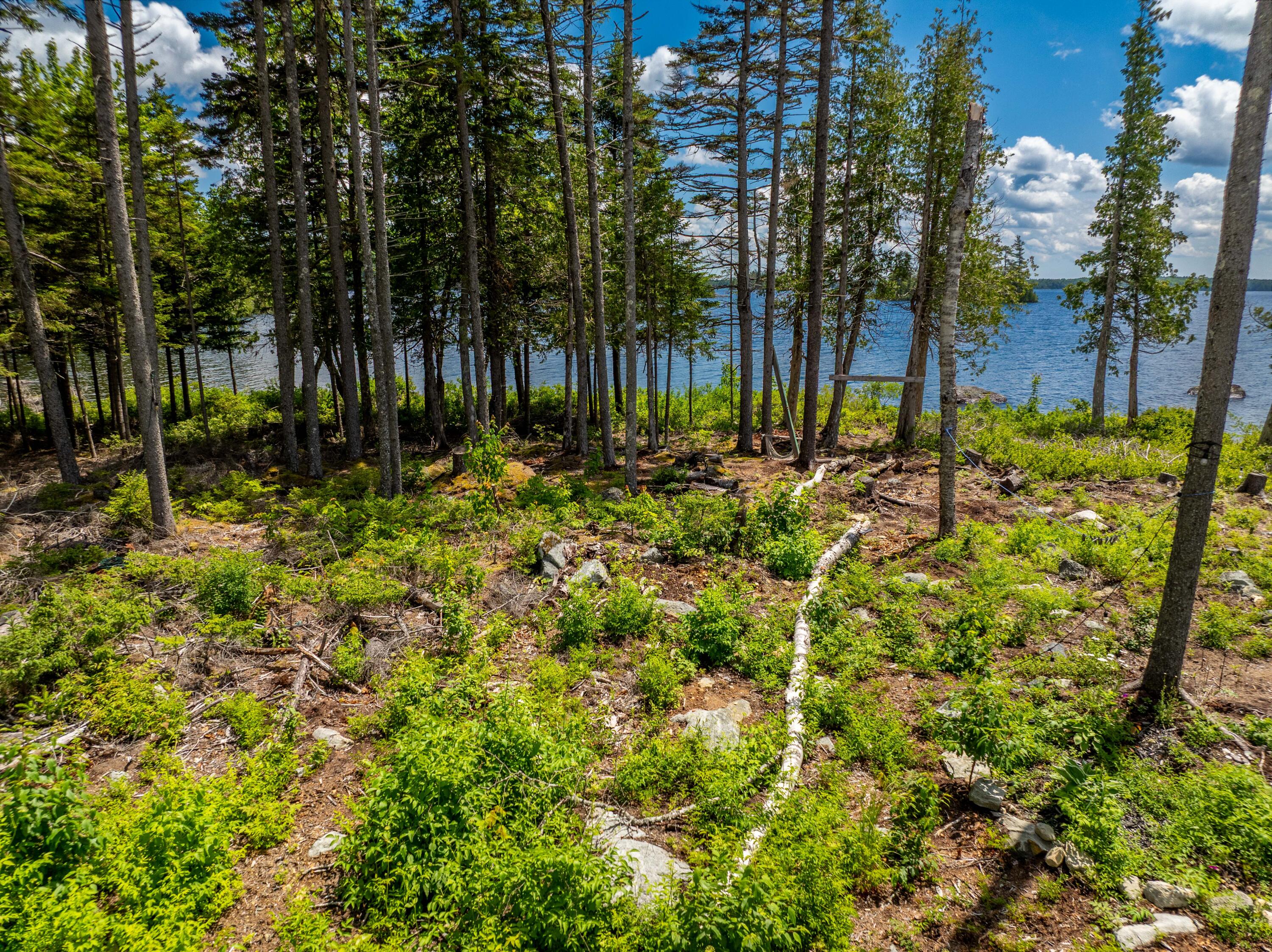 313 Birch Pt Road Cooper, ME 04657 - Photo 27 of 50 Lot H - Lot 049-15-8 Cathance Lake , Co
