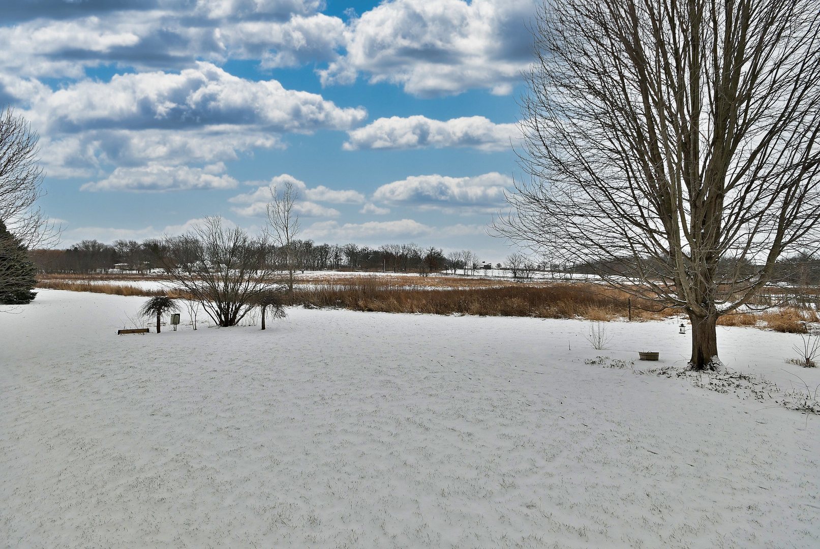 40W439 East Laura Ingalls Wilder Road St. Charles, IL 60175 - Photo 56 of 64