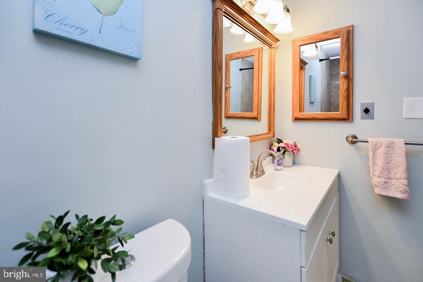 3319 Huntley Square Drive, Unit A Temple Hills, MD 20748 - Photo 14 of 17 a bathroom with a sink and a mirror