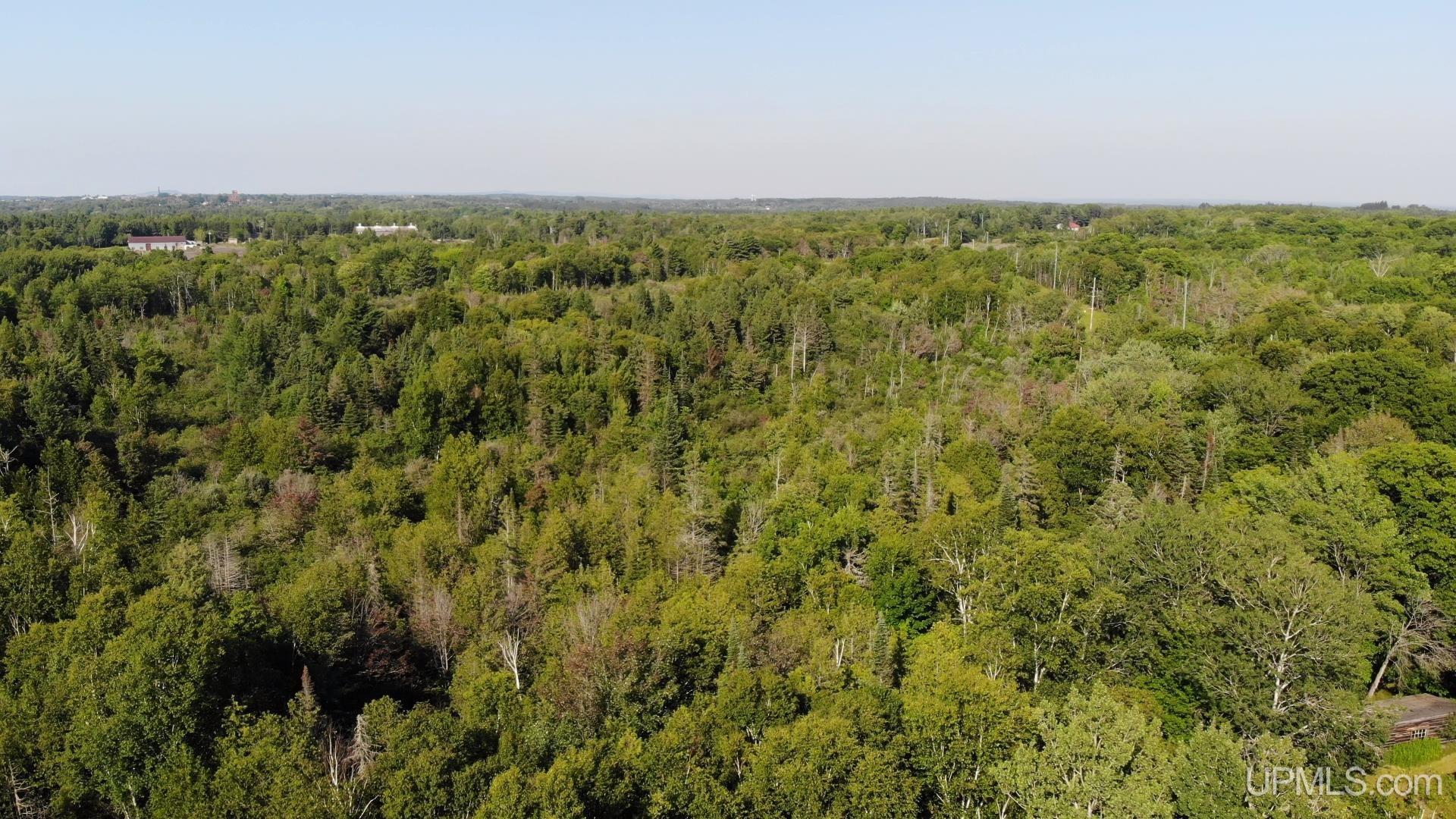 54866 Tecumseh Road Calumet, MI 49913 - Photo 37 of 38