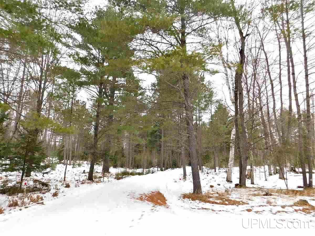 W2217 Cazzola Road Vulcan, MI 49892 - Photo 17 of 27